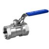 Why European Buyers Choose 1PC Ball Valves from Cangzhou Co-Win Metal Products Co., Ltd.？